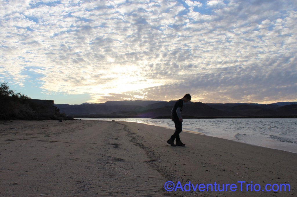 Jack on Beach in Gonzaga